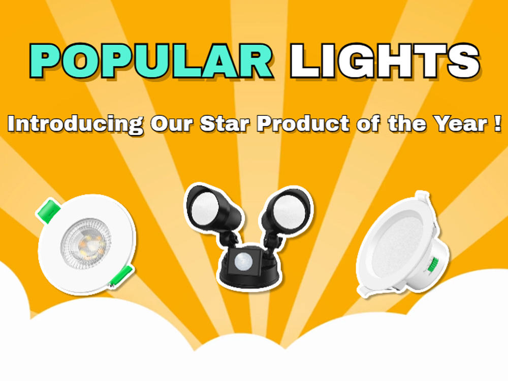 Our Popular Lights of the Year 2024